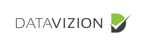 Datavizion Logo